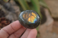 Polished Labradorite Galet / Palm Stones x 12 From Tulear, Madagascar