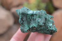 Natural Silky Malachite Specimens x 6 From Kasompe, Congo