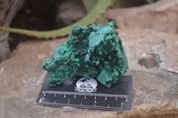 Natural Silky Malachite Specimens x 6 From Kasompe, Congo