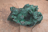 Natural Silky Malachite Specimens x 6 From Kasompe, Congo