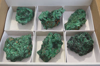 Natural Silky Malachite Specimens x 6 From Kasompe, Congo