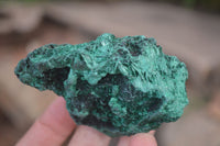 Natural Silky Malachite Specimens x 6 From Kasompe, Congo