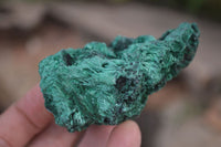 Natural Silky Malachite Specimens x 6 From Kasompe, Congo