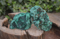 Natural Silky Malachite Specimens x 6 From Kasompe, Congo