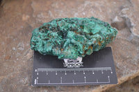 Natural Silky Malachite Specimens x 6 From Kasompe, Congo