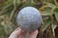 Polished Lepidolite Spheres x 2 From Madagascar