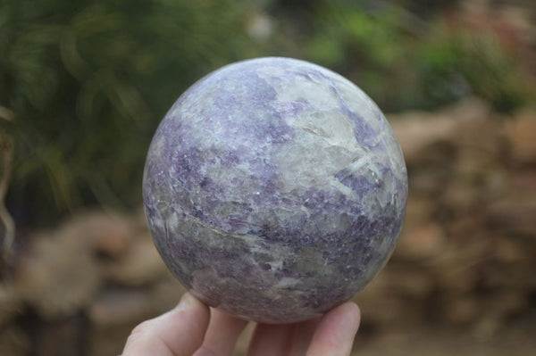 Polished Lepidolite Spheres x 2 From Madagascar