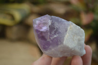 Polished Jacaranda Amethyst Single Crystals x 6 From Mumbwa, Zambia