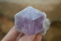 Polished Jacaranda Amethyst Single Crystals x 6 From Mumbwa, Zambia