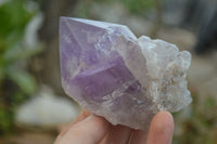 Polished Jacaranda Amethyst Single Crystals x 6 From Mumbwa, Zambia