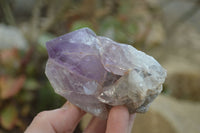 Polished Jacaranda Amethyst Single Crystals x 6 From Mumbwa, Zambia