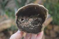 Polished Petrified Wood Branch Pieces x 4 From Gokwe, Zimbabwe