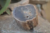 Polished Petrified Wood Branch Pieces x 4 From Gokwe, Zimbabwe