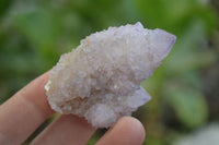 Natural Amethyst / Ametrine Spirit Quartz Clusters x 24 From Boekenhouthoek, South Africa