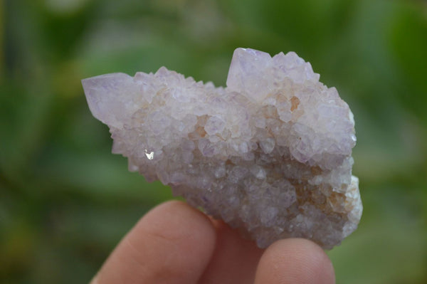 Natural Amethyst / Ametrine Spirit Quartz Clusters x 24 From Boekenhouthoek, South Africa