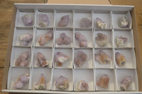 Natural Amethyst / Ametrine Spirit Quartz Clusters x 24 From Boekenhouthoek, South Africa