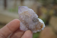 Natural Amethyst / Ametrine Spirit Quartz Clusters x 24 From Boekenhouthoek, South Africa