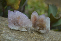 Natural Amethyst / Ametrine Spirit Quartz Clusters x 24 From Boekenhouthoek, South Africa