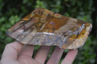 Polished On One Side Nguni Jasper Specimens x 2 From Prieska, South Africa