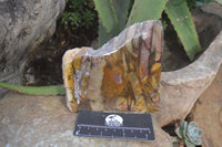 Polished On One Side Nguni Jasper Specimens x 2 From Prieska, South Africa