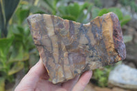 Polished On One Side Nguni Jasper Specimens x 2 From Prieska, South Africa