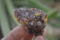 Natural Amethyst Clusters x 35 From Kwaggafontein, South Africa