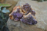 Natural Amethyst Clusters x 35 From Kwaggafontein, South Africa