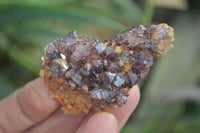 Natural Amethyst Clusters x 35 From Kwaggafontein, South Africa