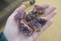 Natural Amethyst Clusters x 35 From Kwaggafontein, South Africa