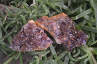 Natural Amethyst Clusters x 35 From Kwaggafontein, South Africa