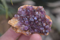 Natural Amethyst Clusters x 35 From Kwaggafontein, South Africa