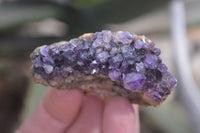 Natural Amethyst Clusters x 35 From Kwaggafontein, South Africa