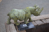 Polished Leopard Stone Rhino Carving x 1 From Zimbabwe