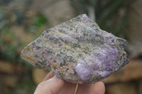 Natural Stichtite & Serpentine Specimens x 6 From Barberton, South Africa