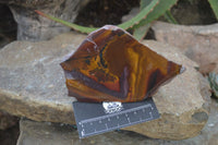 Polished On One Side Nguni Jasper Specimens x 2 From Prieska, South Africa