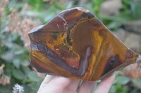 Polished On One Side Nguni Jasper Specimens x 2 From Prieska, South Africa