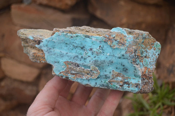 Natural Chrysocolla Dolomite Specimens x 2 From Likasi, Congo