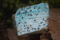 Natural Chrysocolla Dolomite Specimens x 2 From Likasi, Congo