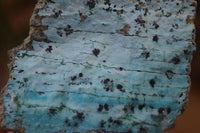 Natural Chrysocolla Dolomite Specimens x 2 From Likasi, Congo