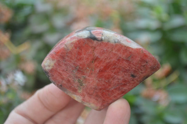 Polished Rhodonite Free Forms x 5 From Zimbabwe