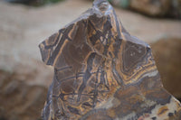 Polished On One Side Nguni Jasper Specimens x 2 From Prieska, South Africa