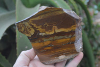 Polished On One Side Nguni Jasper Specimens x 2 From Prieska, South Africa