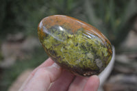 Polished Green Opal Standing Free Forms x 6 From Madagascar