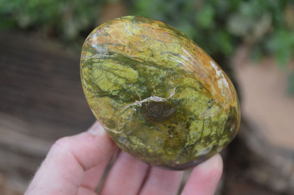 Polished Green Opal Standing Free Forms x 6 From Madagascar