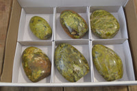 Polished Green Opal Standing Free Forms x 6 From Madagascar