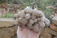 Natural Smokey Quartz Cluster x 1 From Luena, Congo