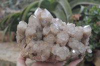 Natural Smokey Quartz Cluster x 1 From Luena, Congo