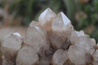 Natural Smokey Quartz Cluster x 1 From Luena, Congo