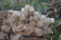 Natural Smokey Quartz Cluster x 1 From Luena, Congo