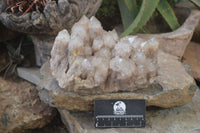 Natural Smokey Quartz Cluster x 1 From Luena, Congo